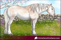 Horse Color:White Spotted Silver Amber Champagne Ice Onyx 