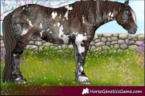 Horse Color:White Spotted Classic Champagne Ice Onyx 