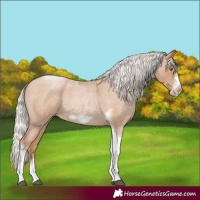 Horse Color:Silver Blue Roan Pearl Tobiano Frame 