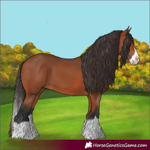 Horse Color:Bay Splash Frame 