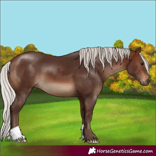 Horse Color:Silver Brown 