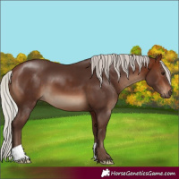 Horse Color:Silver Brown 