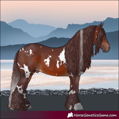 Horse Color:White Spotted Chocolate Brown 