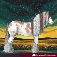 Horse Color:White Spotted Chocolate Bay Dun Splash 