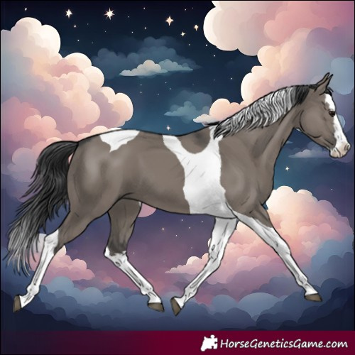 Horse Color:Grullo Splash Tobiano 