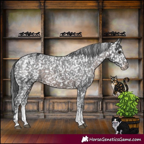 Horse Color:Powder White Platinum Brown Mushroom Appaloosa 