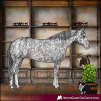 Horse Color:Powder White Platinum Brown Mushroom Appaloosa