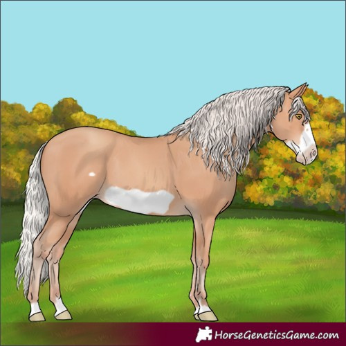 Horse Color:Silver Amber Champagne Frame 