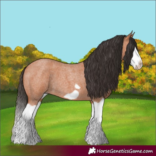 Horse Color:Bay Roan Splash Frame 