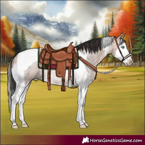 Horse Color:Bay Roan Dun Splash Tobiano Rabicano 