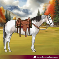 Horse Color:Bay Roan Dun Splash Tobiano Rabicano 