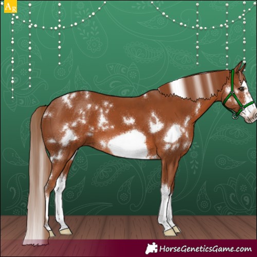 Horse Color:White Spotted Chestnut Splash Frame