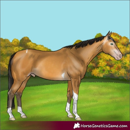 Horse Color:Gray Amber Cream Champagne Tobiano 