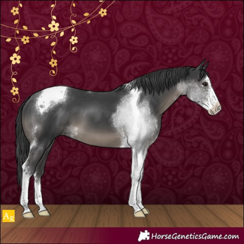 Horse Color:Black Sabino Tobiano