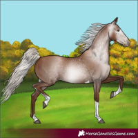Horse Color:Gray Silver Black Pearl Tobiano 