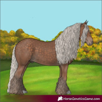 Horse Color:Silver Black 