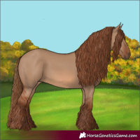 Horse Color:Red Dun