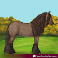 Horse Color:Liver Red Dun 