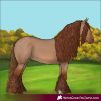 Horse Color:Red Dun 