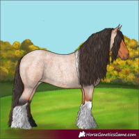 Horse Color:Bay Roan Tobiano