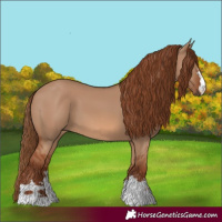 Horse Color:Red Dun 