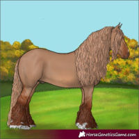 Horse Color:Red Dun