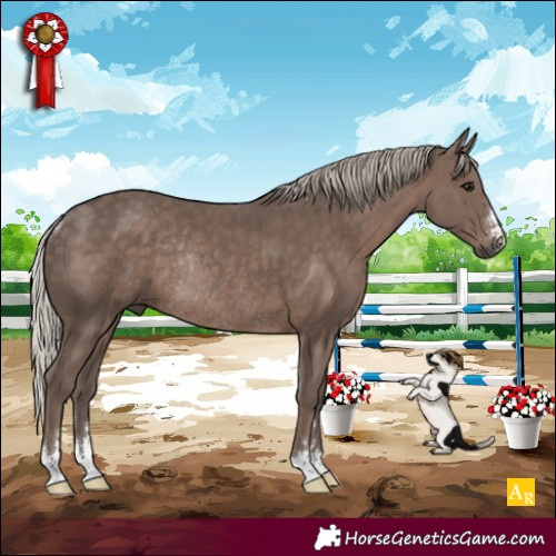 Horse Color:Silver Black Rabicano 