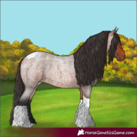 Horse Color:Bay Roan Tobiano