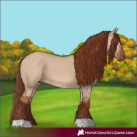 Horse Color:Red Dun 