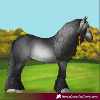 Horse Color:Gray Black 