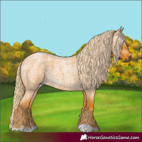 Horse Color:Gray Palomino Roan