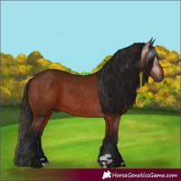 Horse Color:Gray Bay 