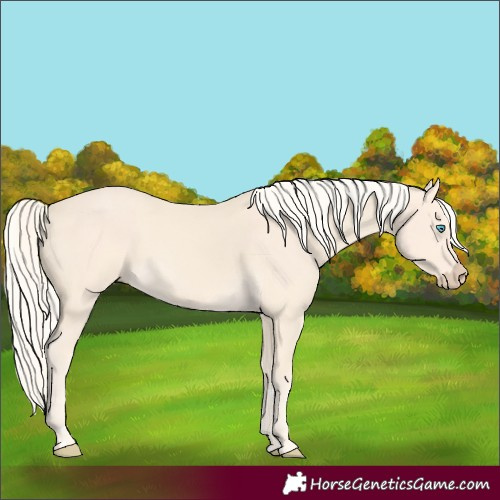 Horse Color:Cremello