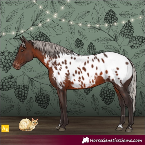 Horse Color:Silver Brown Near Leopard Rabicano 