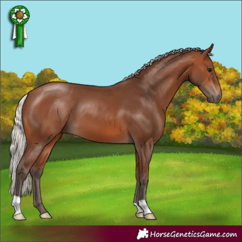 Horse Color:Silver Brown 