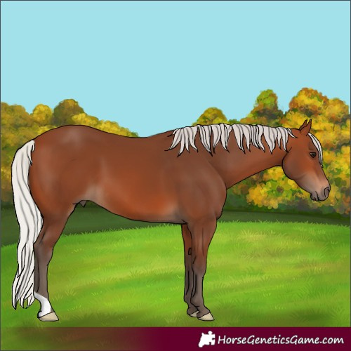 Horse Color:Silver Brown 