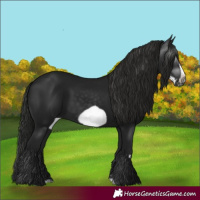 Horse Color:Gray Black Frame