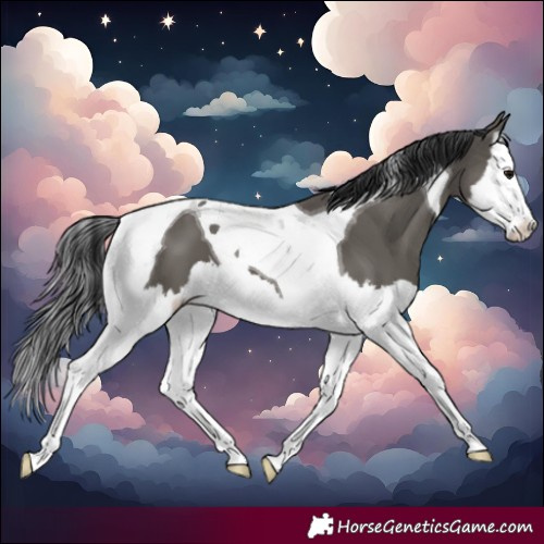 Horse Color:Grullo Splash Tobiano 