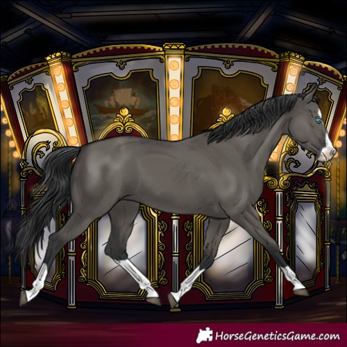 Horse Color:Grullo Splash