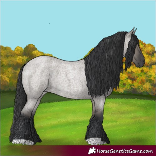 Horse Color:Grullo Roan Rabicano 