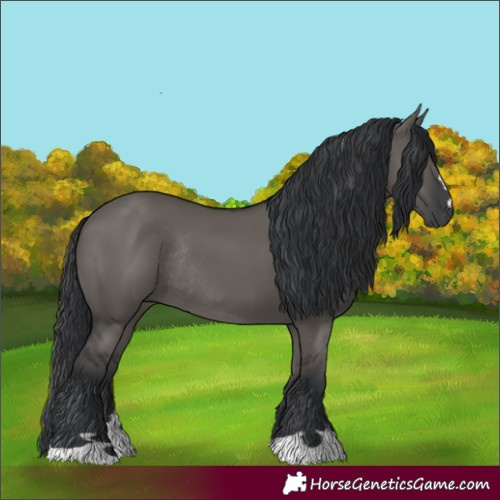 Horse Color:Grullo Rabicano 