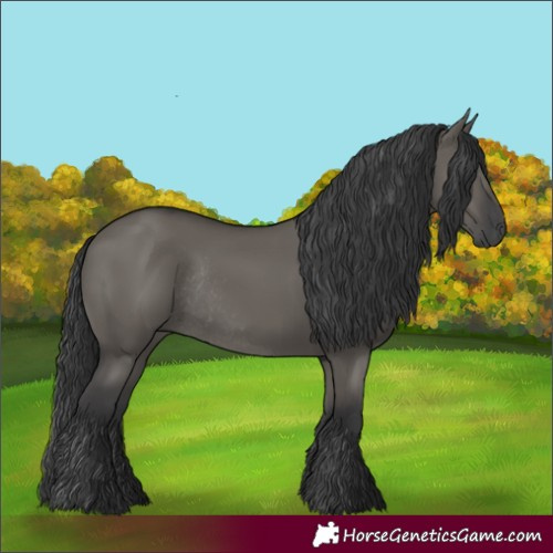 Horse Color:Grullo Rabicano 