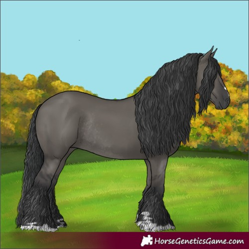 Horse Color:Grullo Rabicano