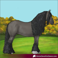 Horse Color:Grullo Rabicano 