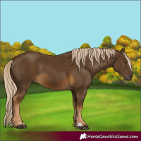 Horse Color:Chocolate Palomino