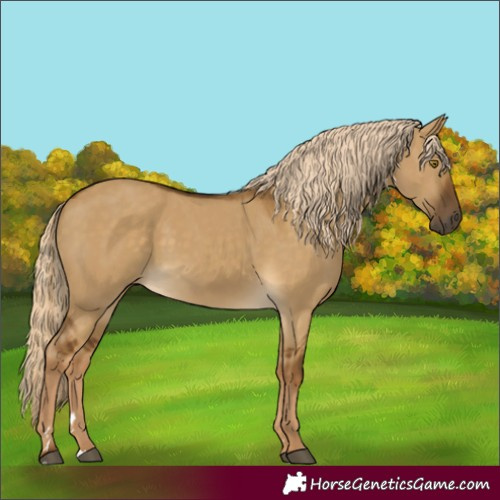 Horse Color:Chocolate Palomino Dun 