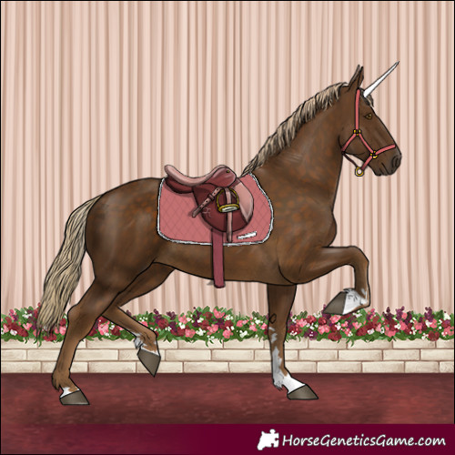 Horse Color:Chocolate Palomino 