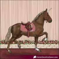 Horse Color:Chocolate Palomino 