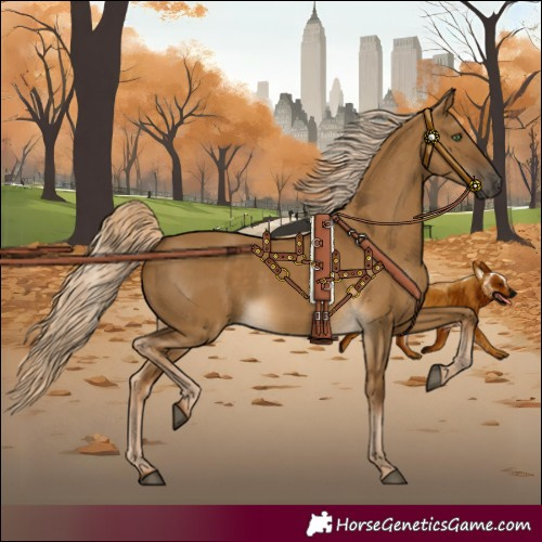 Horse Color:Chocolate Palomino Dun 