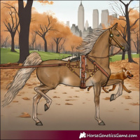 Horse Color:Chocolate Palomino Dun 